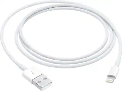 Apple - 3.3' Lightning to USB Cable