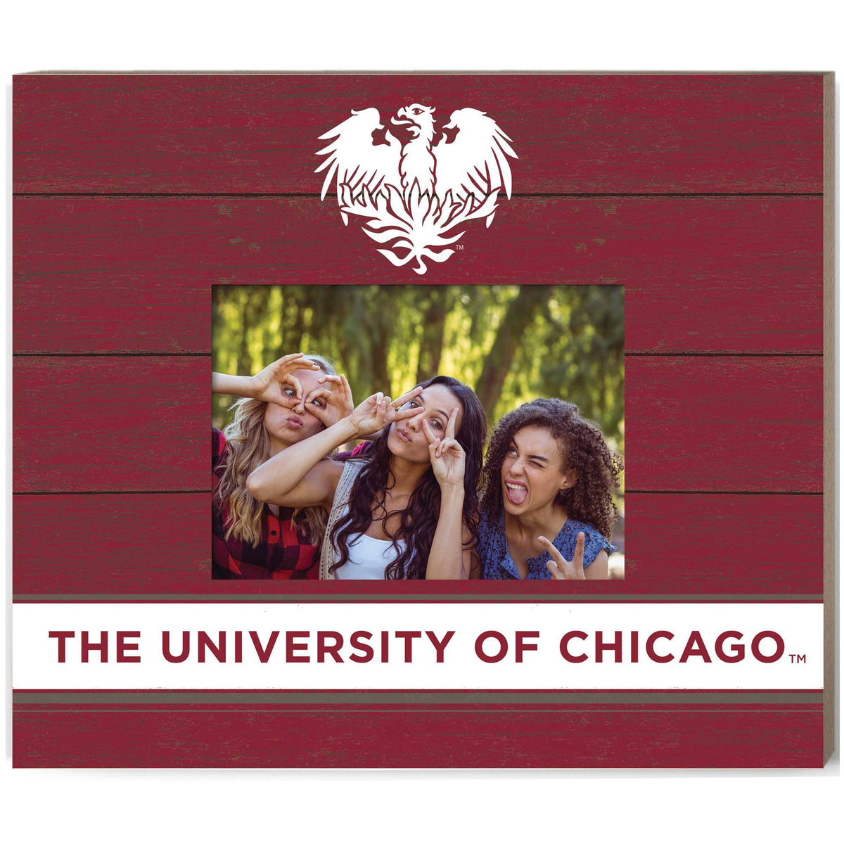 Jardine - UChicago Maroons 11'' x 13'' Team Spirit Scholastic Picture Frame - Maroon