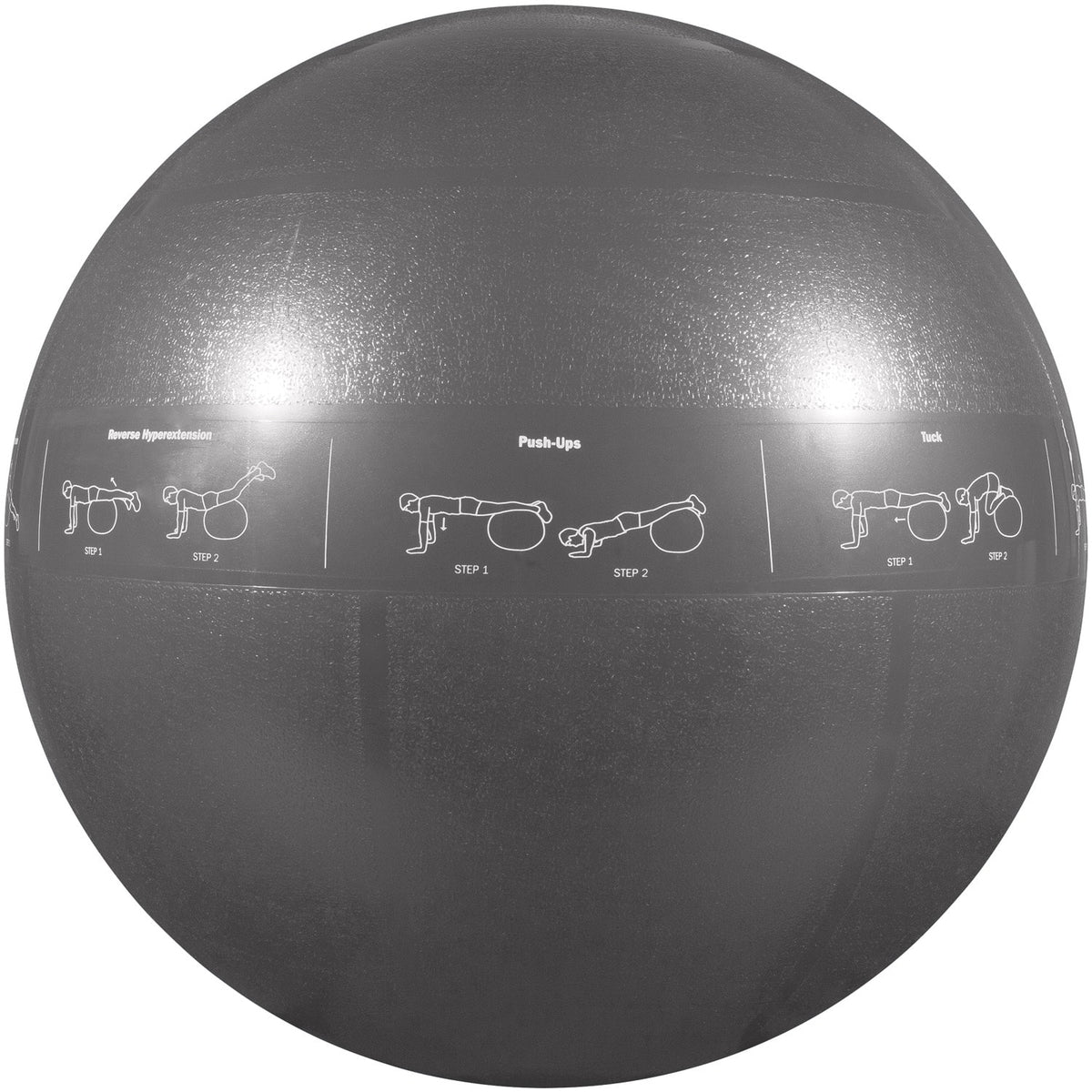 GoFit - Pro Grade Stability Guide Ball 75cm with Pump - Silver