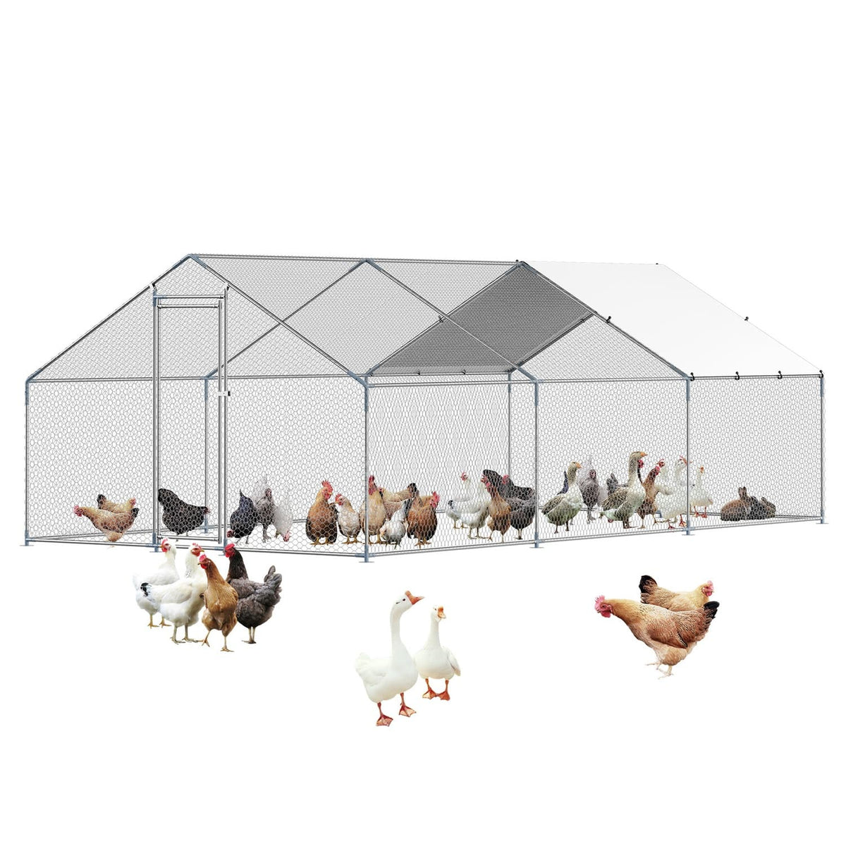 Boyel Living - Metal Chicken Coop 9 Ft Large Walk In Poultry Hen House