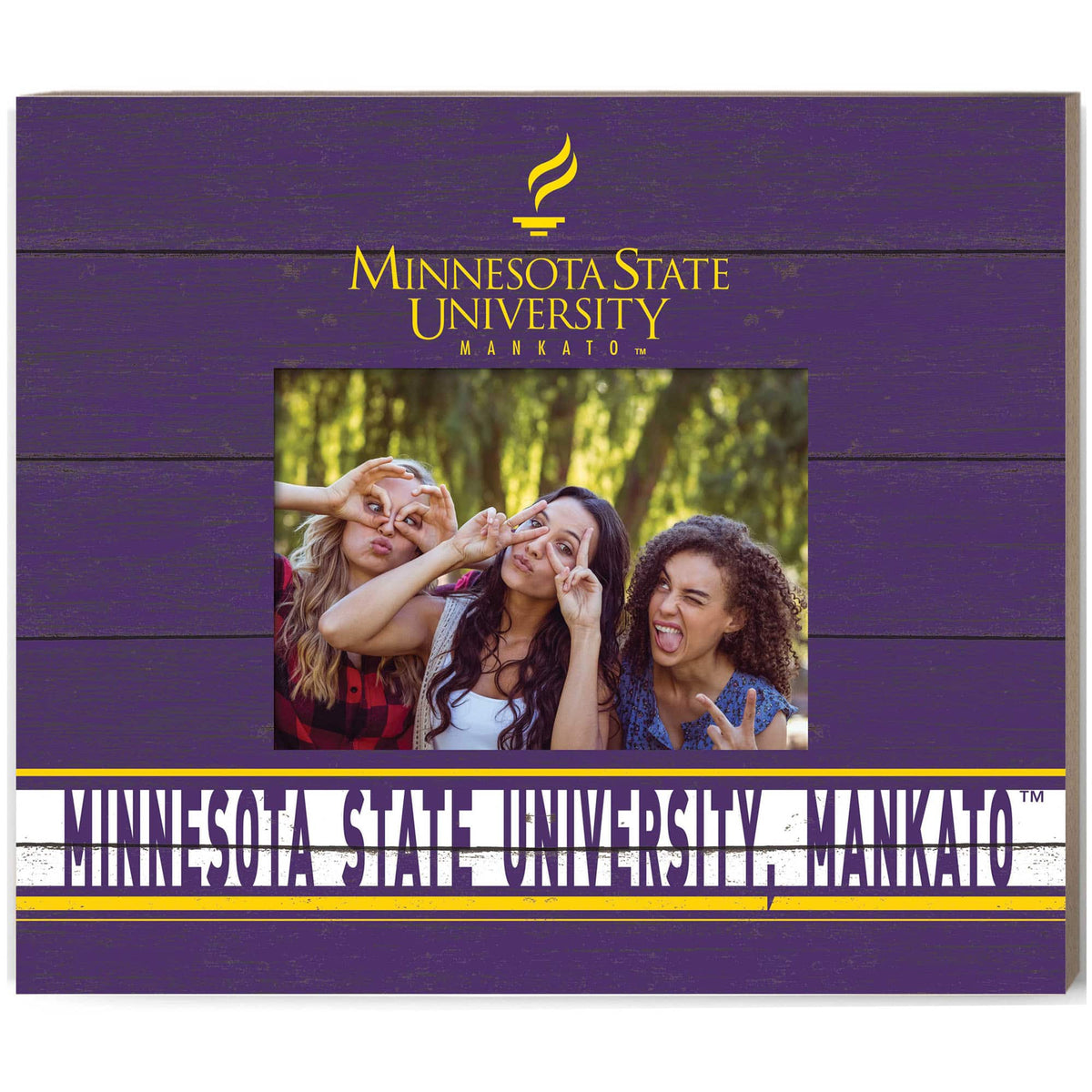 Jardine - Minnesota State Mavericks 11'' x 13'' Team Spirit Scholastic Picture Frame - Purple