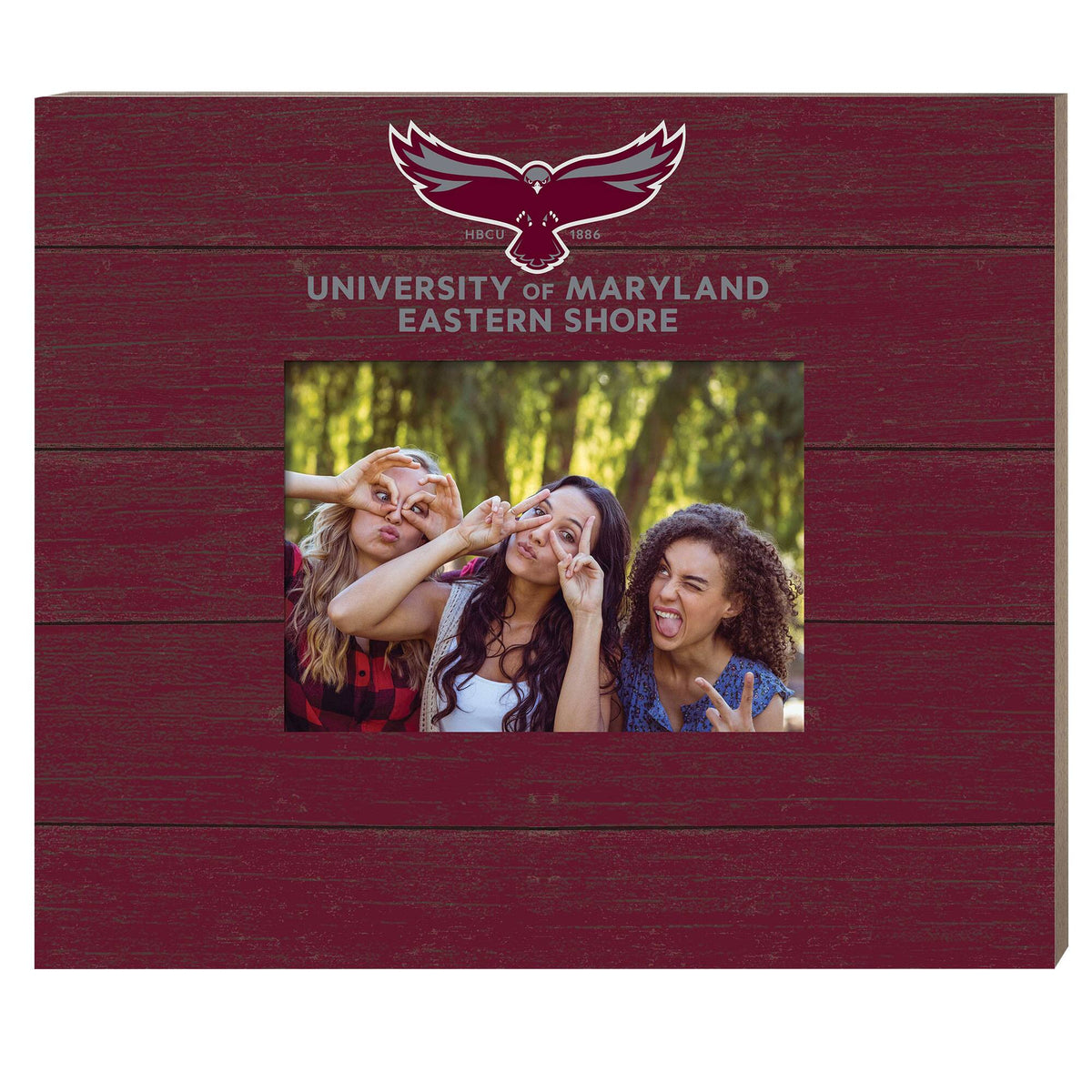 Jardine - Maryland Eastern Shore Hawks 11" x 13" Team Spirit Scholastic Picture Frame - Maroon