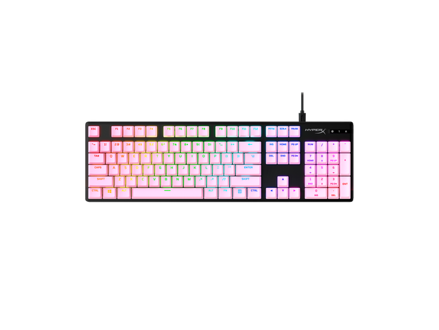 ESC F1 F2 F3 F4 F5 F6 F7 F8 F9 F10 F11 F12

TAB Q W E R T Y U I O P

CAPS A S D F G H J K L ; '

SHIFT Z X C V B N M , . /

CTRL ALT

NUM 7 8 9 4 5 6 1 2 3 0

INS HOME END PGDN PGUP

DEL