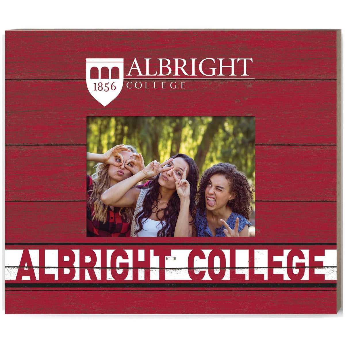 Jardine - Albright Lions 11'' x 13'' Team Spirit Scholastic Picture Frame - Red