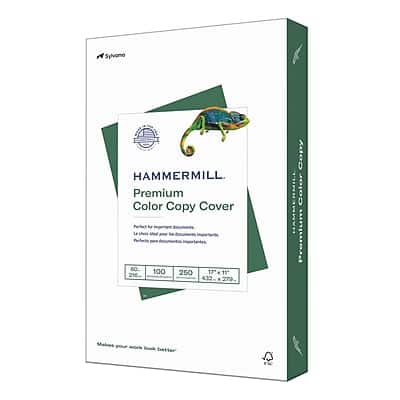 Hammermill - Premium Color Copy Paper, 11" x 17", 80 lbs., 250 Sheets/Ream, 1 Reams/Carton - White