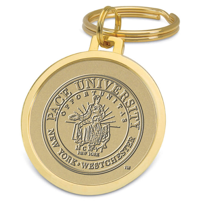 PACE UNIVERSITY  
NEW YORK - WESTCHESTER  
MCMVI  
NEW YORK