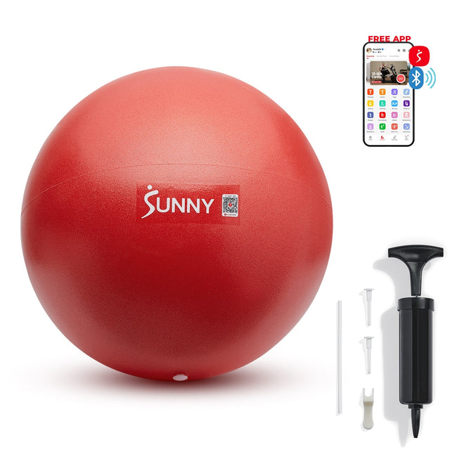 FREE APP

SUNNY