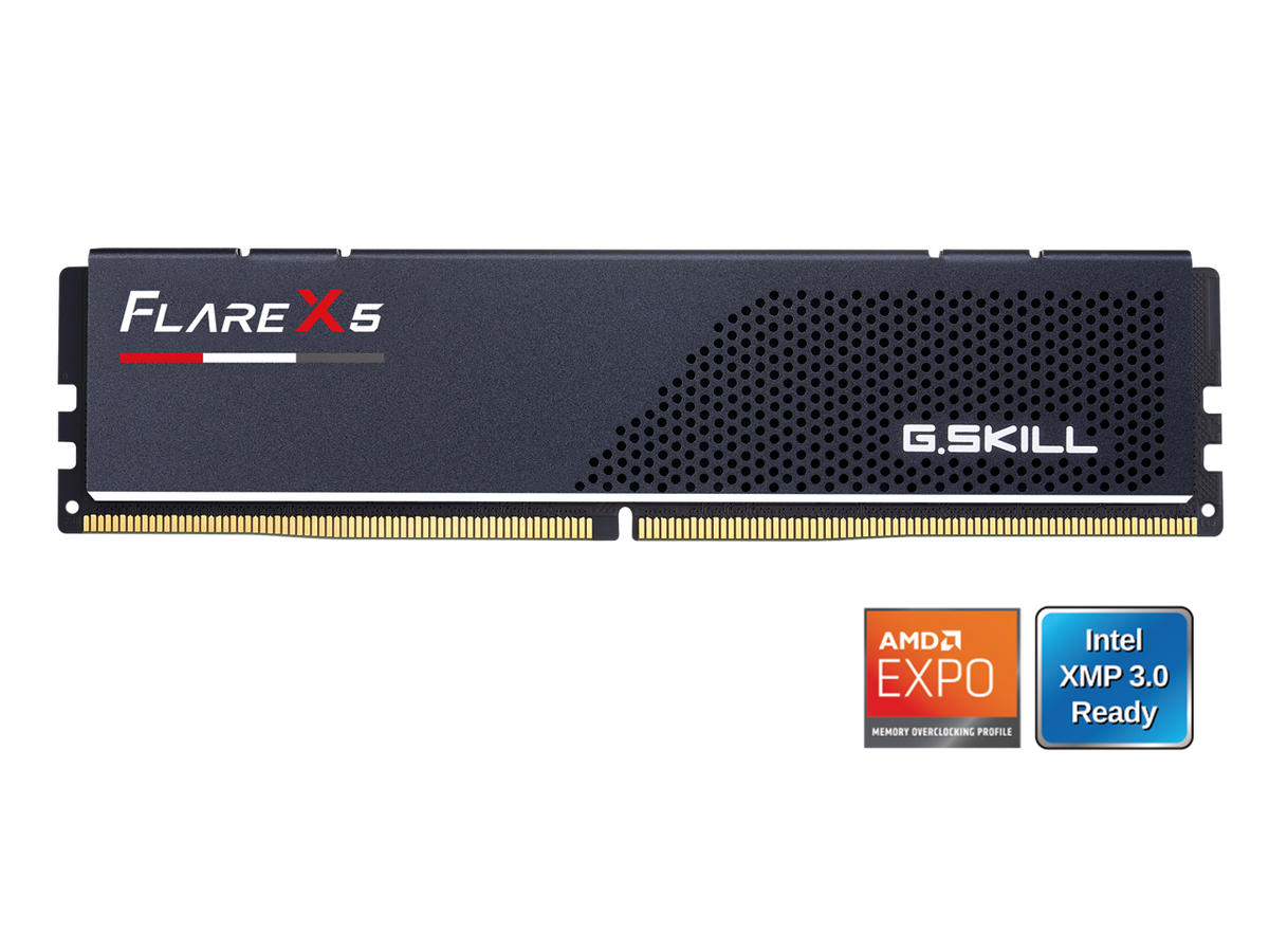 G.SKILL - Flare X5 16GB 288-Pin PC RAM DDR5 6000 (PC5 48000) Desktop Memory Model F5-6000J3636F16GX1-FX5 - Black