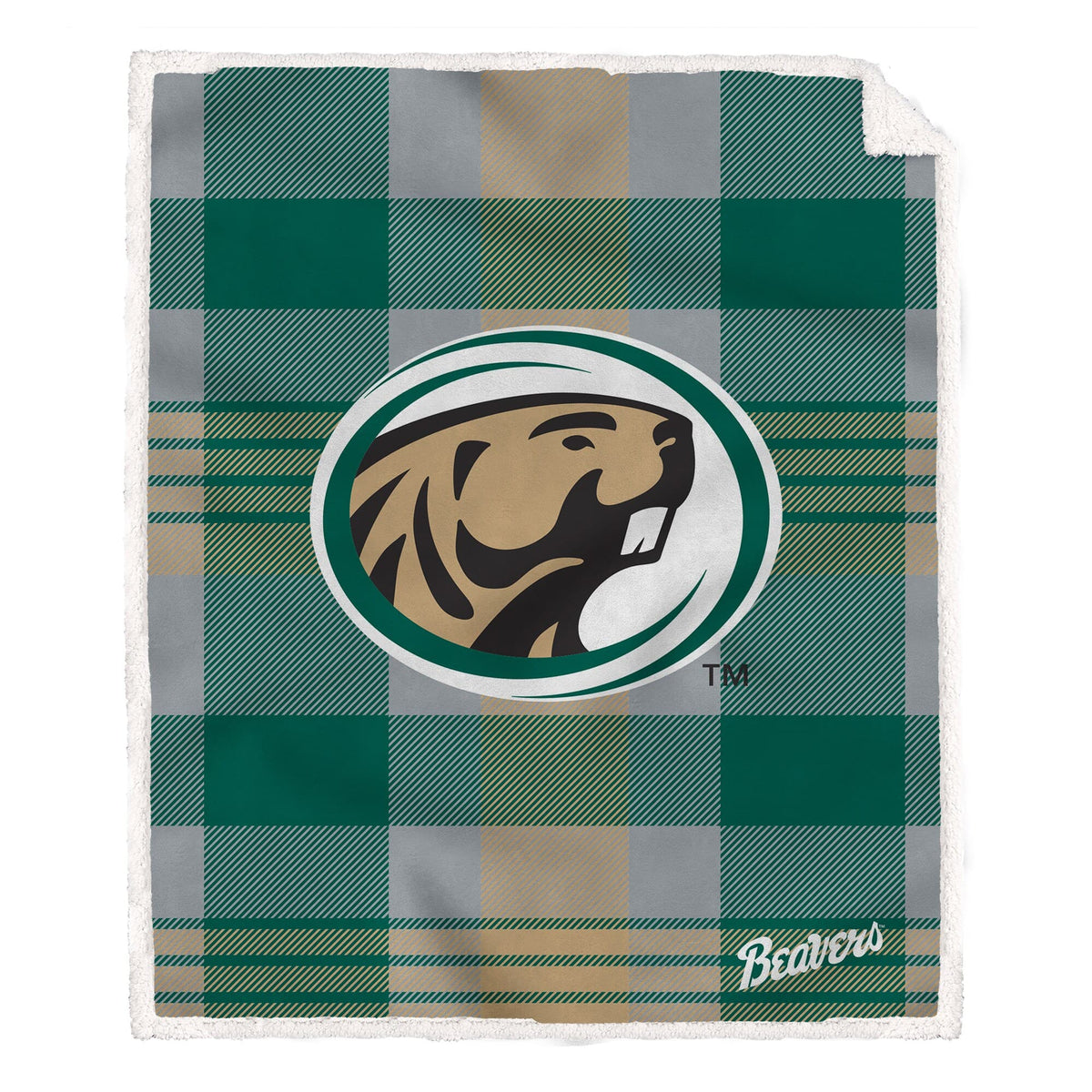 Pegasus - Bemidji State Beavers 60- x 70- Plaid Steel Ultra Cozy Sherpa Blanket - Multicolor
