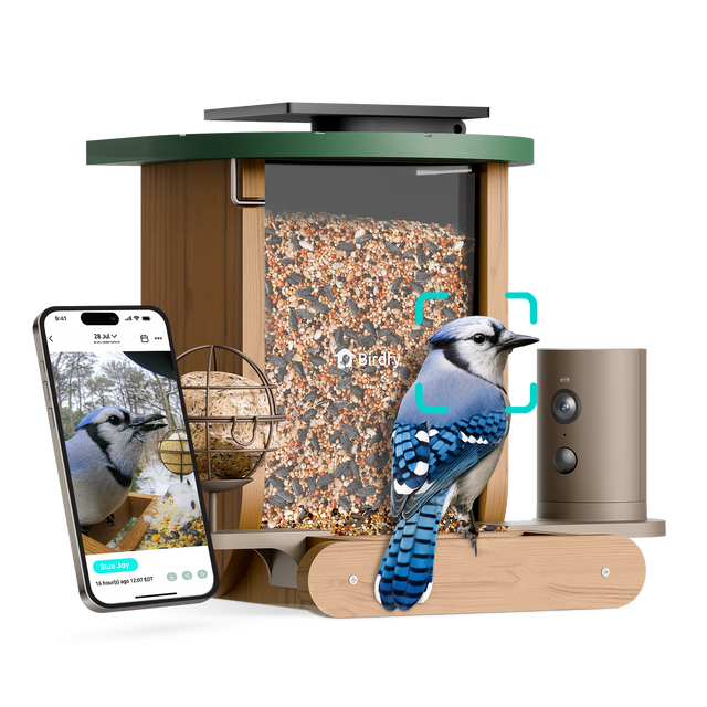 4 2 M V : | ... Birdfy Blue say 12 14 hours ago -