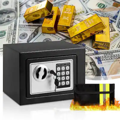 Locksworth - 0.25 Cubic Feet Electronic Digital Safe Box, Steel Money Safe Box for Home with Money Bag for Cash Safe Hidden