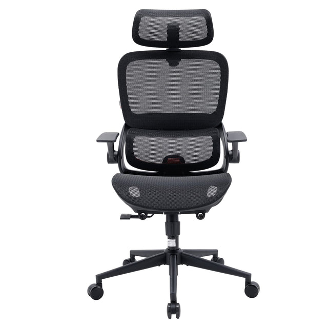 Front. SIHOO - B100 Ergonomic Office Chair, Desk Chair with Zoned Back Support, 2D Wide Headrest, High Back Executive Chair - Black.