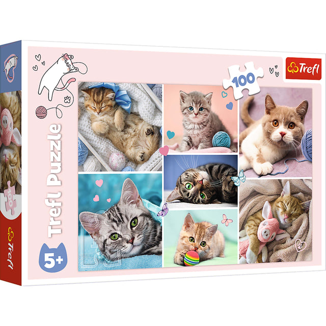 Trefl Puzzle  
Trefl  
100  
5+