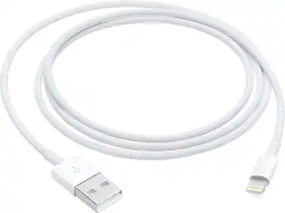 Apple - 3.3' (1M) Lightning to USB Cable
