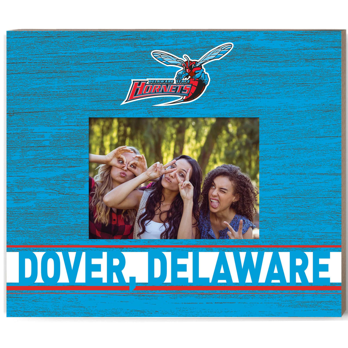 Jardine - Delaware State Hornets 11'' x 13'' Team Spirit Picture Frame - Blue