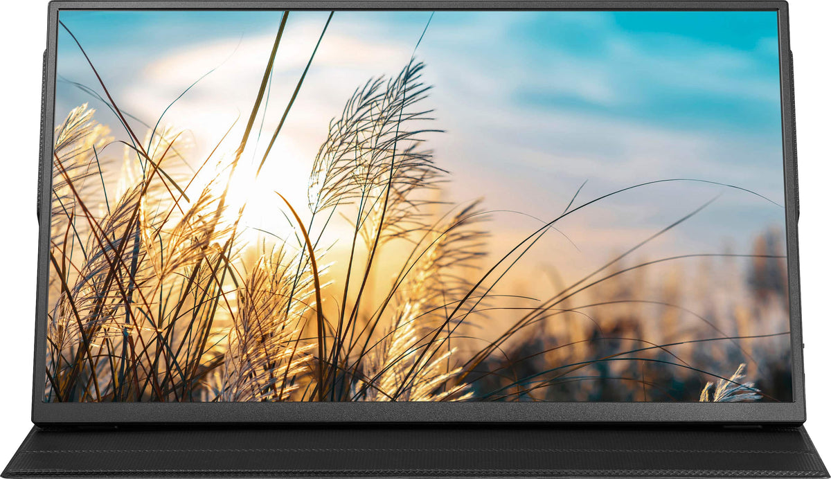 Insignia™ - 15.6" LED FHD Portable Monitor (Mini HDMI, USB-C) - Black