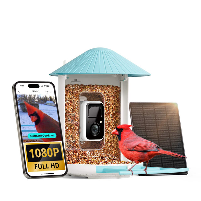 9:41 28 Jul  
Northern Cardinal  
1080P FULL HD  
Birdfy