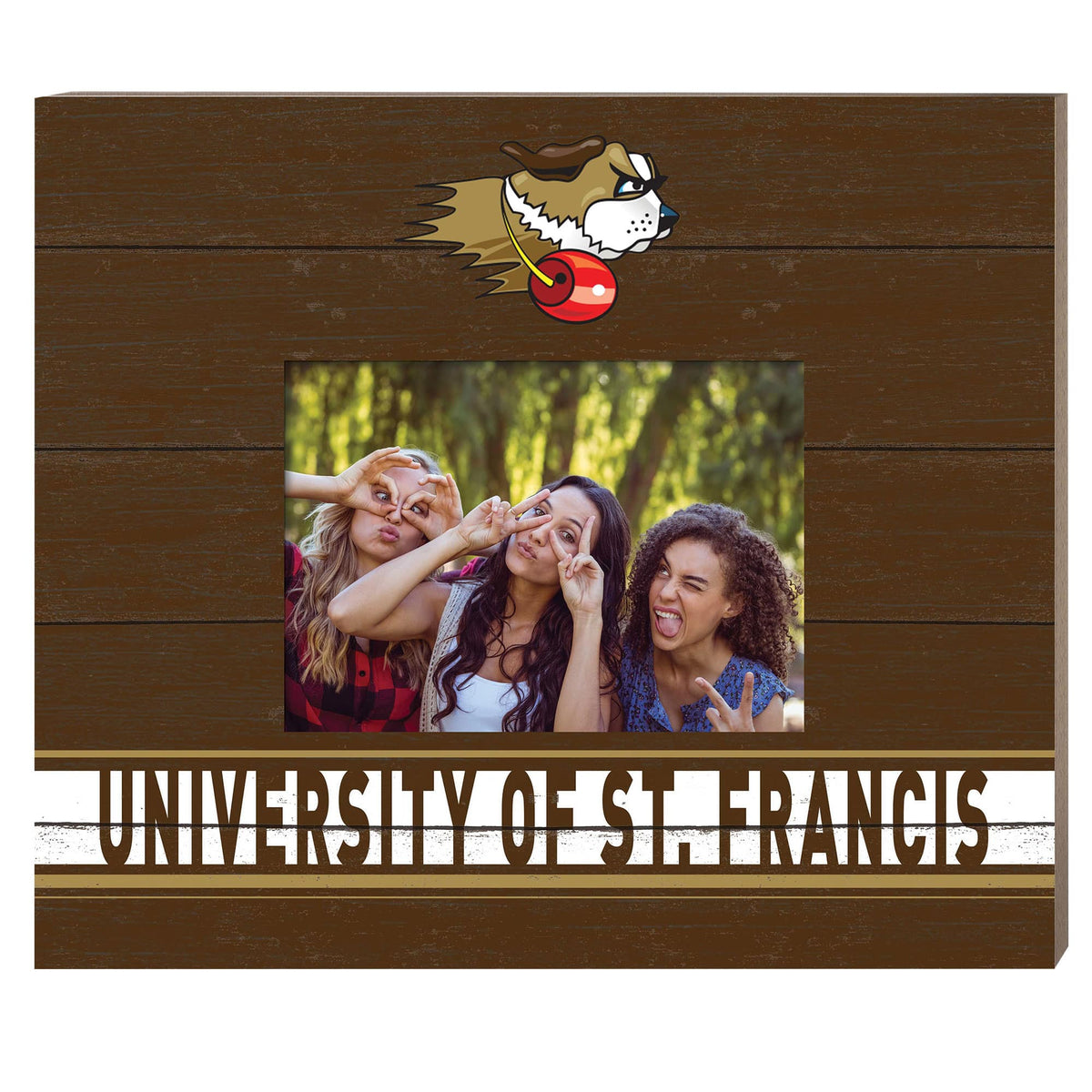 Jardine - St. Francis Fighting Saints 11" x 13" Team Spirit Scholastic Picture Frame - Brown