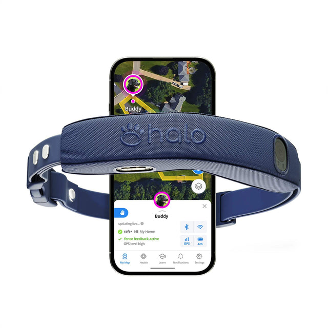 Buddy  
updating live...  
safe  
My Home  
fence feedback active  
GPS level high  
GPS 43%  
My Mag Health  
Notifications  
Settings  

My Map  
Health  
Learn