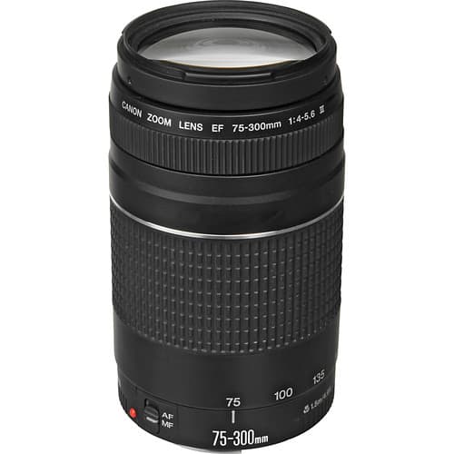 CANON ZOOM LENS EF 75-300mm 1:4-5.6  
75-300mm  
AF MF  
135 100 75