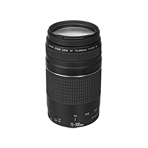 CANON 1:4-5.6 I ZOOM LENS 75-300mm EF AF MP 1.95 100 75 5 I 75-300mm