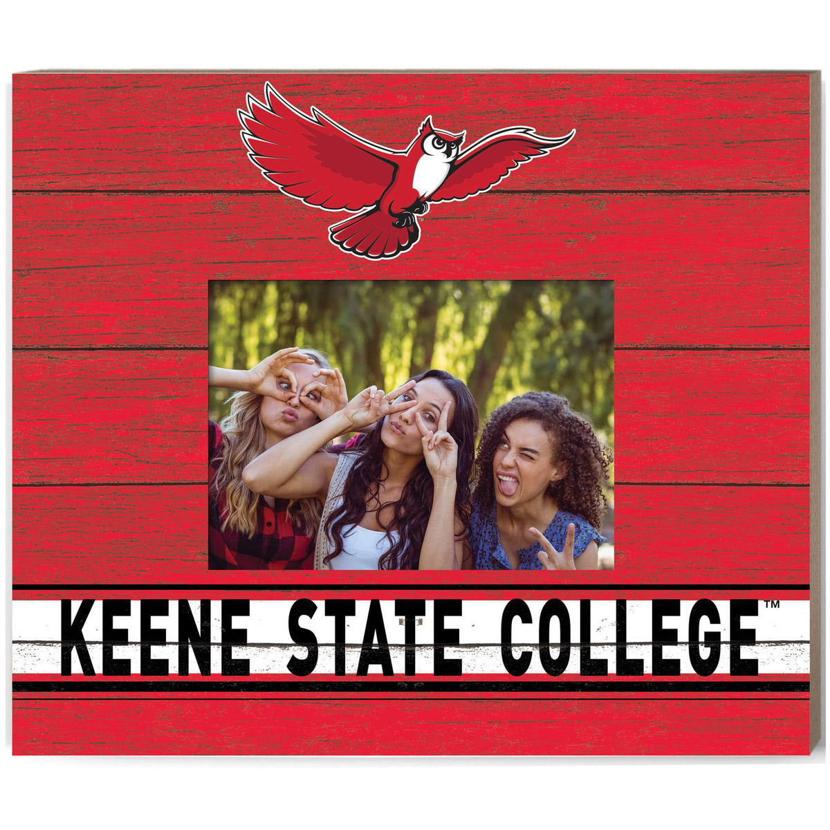 Jardine - Keene State Owls 11'' x 13'' Team Spirit Scholastic Picture Frame - Red