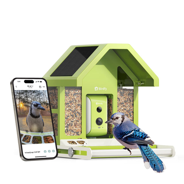 S41 28 Jul - Birdfy Birdfy 1 hour ago 12:01 HER 4