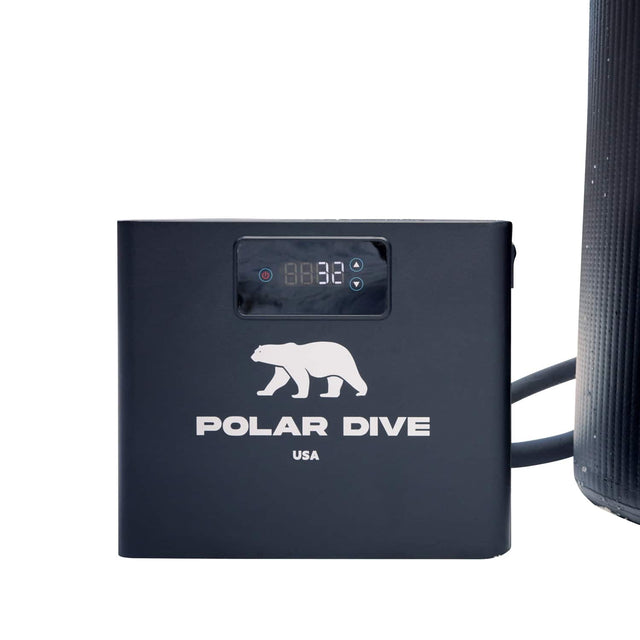 8888 POLAR DIVE USA