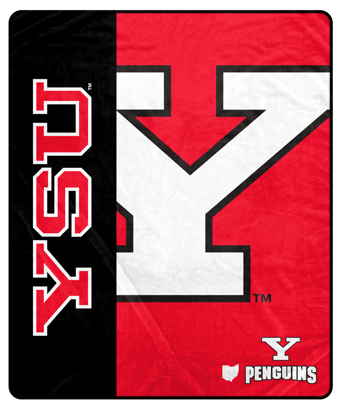 Pegasus - Youngstown State Penguins 50" x 60" Endzone Ultra Soft Throw Blanket - Multicolor