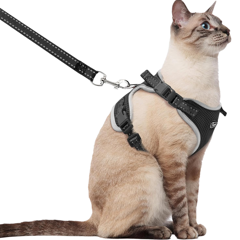 Supet - Cat Harness & Leash - Black