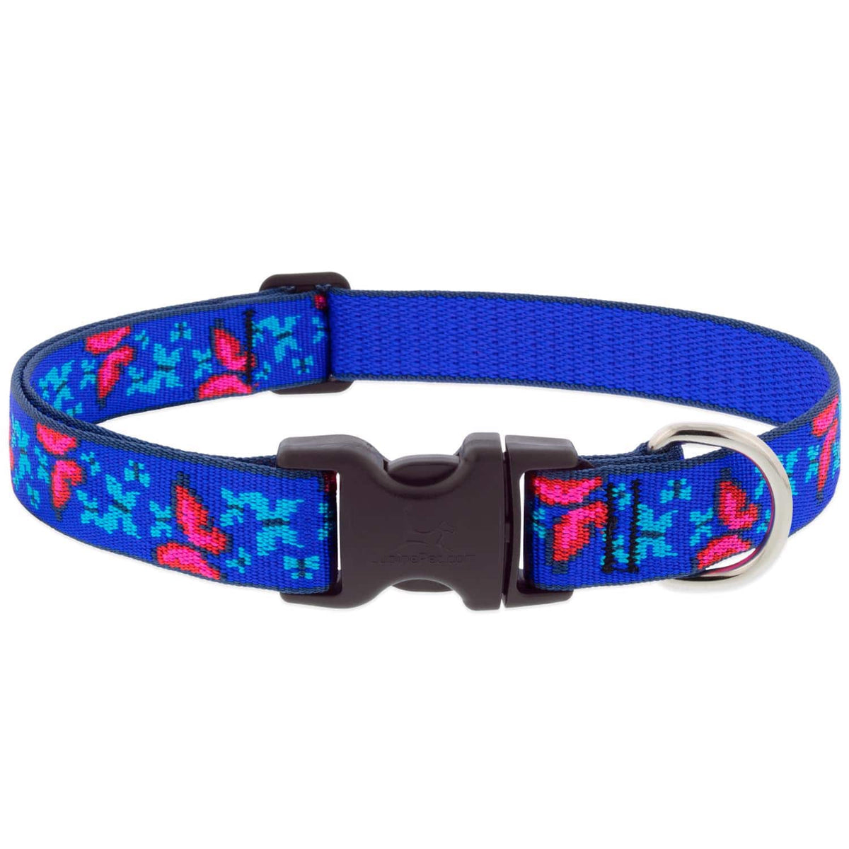 LupinePet - Blue/Pink Social Butterfly Nylon Dog Adjustable Collar Medium - Multicolored