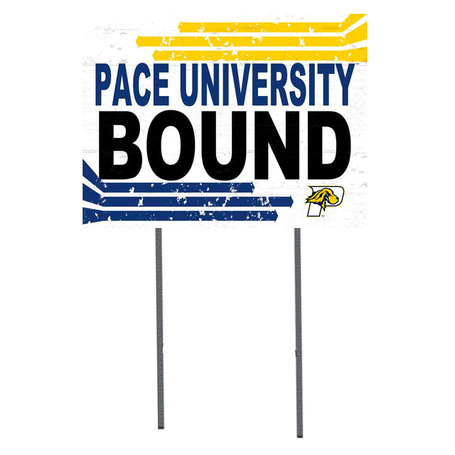 PACE UNIVERSITY  
BOUND