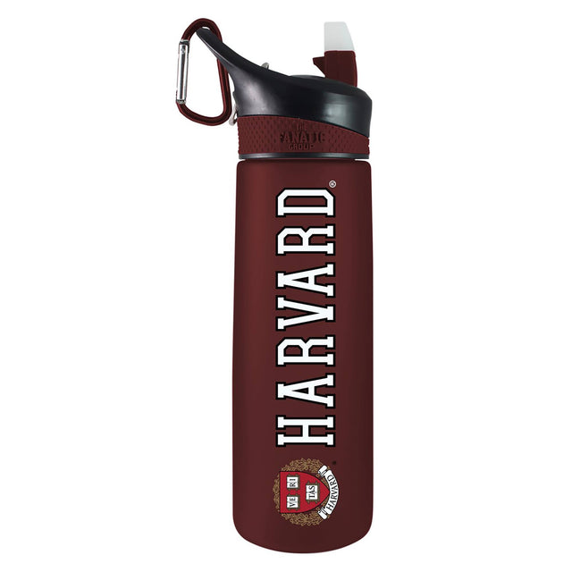 THE ANATIC GROUP  
HARVARD  
HARVARD  
INSTITUTION  
VIR  
TAS  
HARVARD
