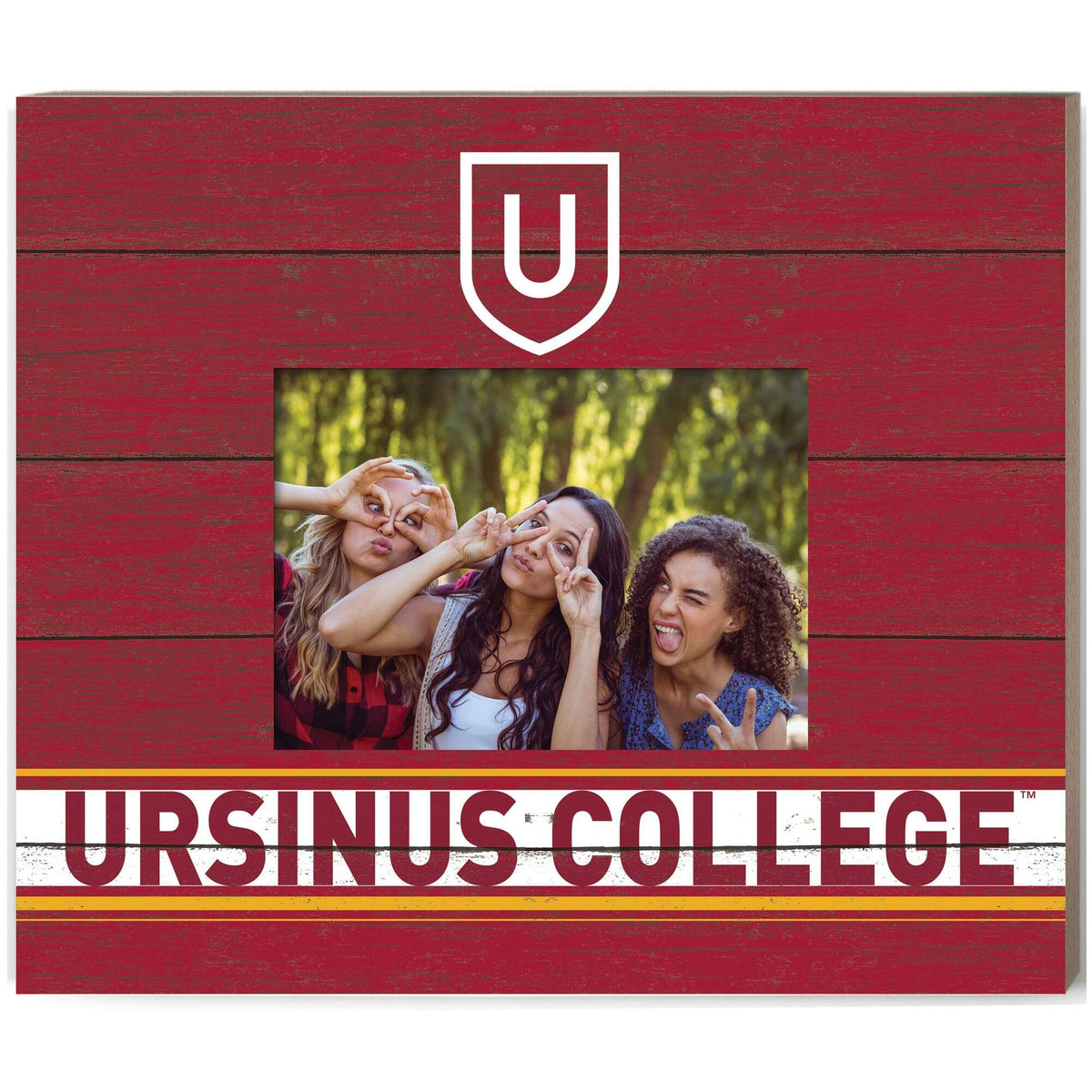 Jardine - Ursinus Bears 11'' x 13'' Team Spirit Scholastic Picture Frame - Red