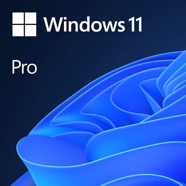 Windows 11  
Pro