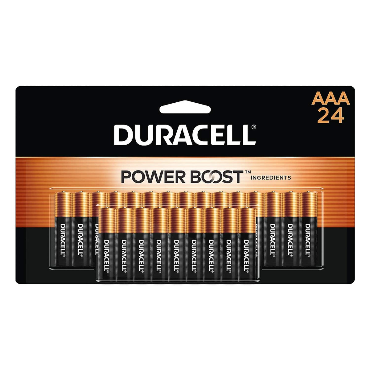 Duracell - Coppertop AAA Alkaline Battery, 24/Pack (MN2400B240002)