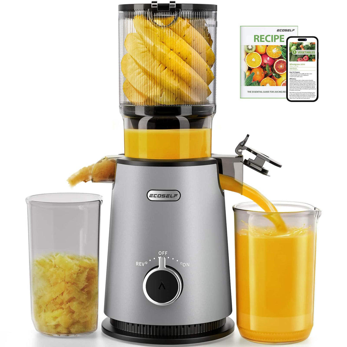 Ecoself - 4.35"Cold Press Juicer Machine for Fruits and Vegetables,Slow Masticating Juicer - Black