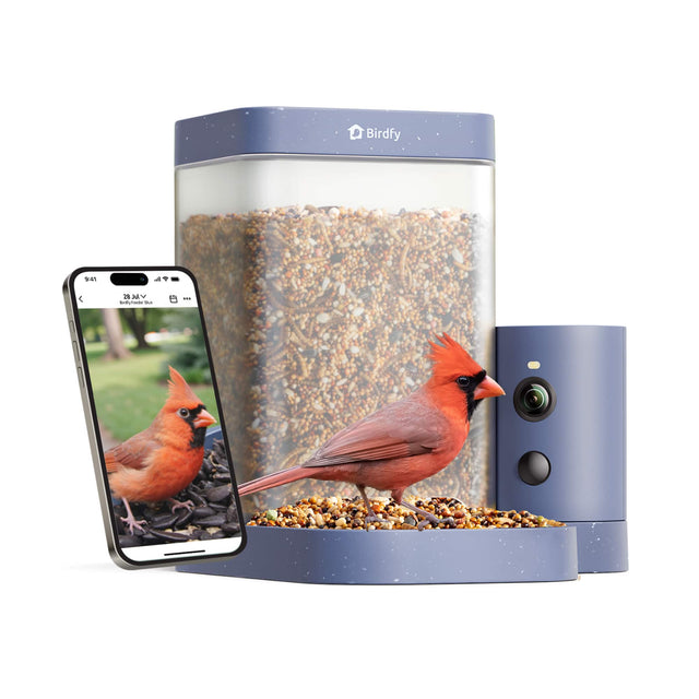Birdfy 4 - C MY hll tyhaie