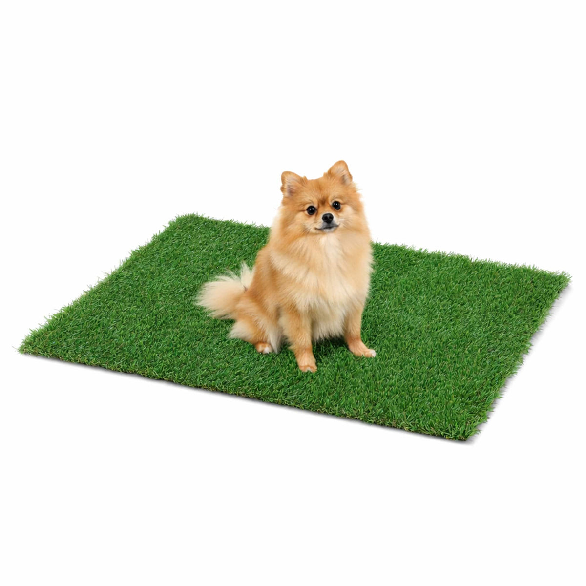 Bliss Outdoors - Bliss Artificial Grass, Dog Potty Train Mat, Easy Clean Drainage, 39.4" x 31.5" - Green