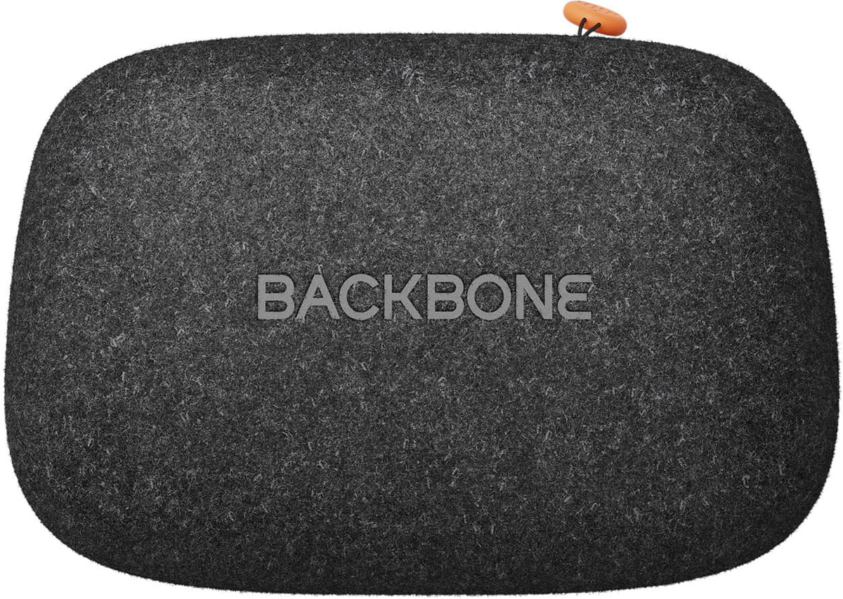 Universal Carrying Case – Compatible with All Backbone Controllers - Black