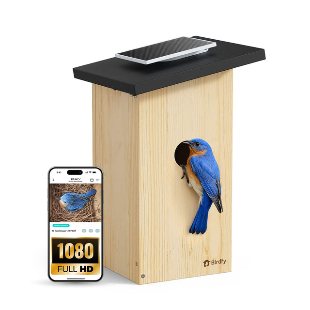 .41 1 + is MY V - - ... I -  AAWE de 128 sa1  d a 1080 FULL HD $ Birdfy

Corrected text:
.41 1 + is MY V - - ... I -  AAWE de 128 sa1  d a 1080 FULL HD $ Birdfy