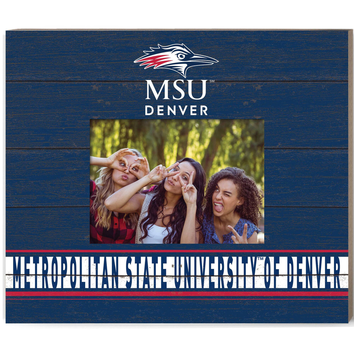 Jardine - MSU Denver Roadrunners 11'' x 13'' Team Spirit Scholastic Picture Frame - Navy
