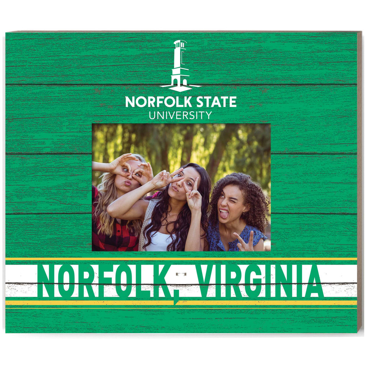 Jardine - Norfolk State Spartans 11'' x 13'' Team Spirit Scholastic Picture Frame - Green