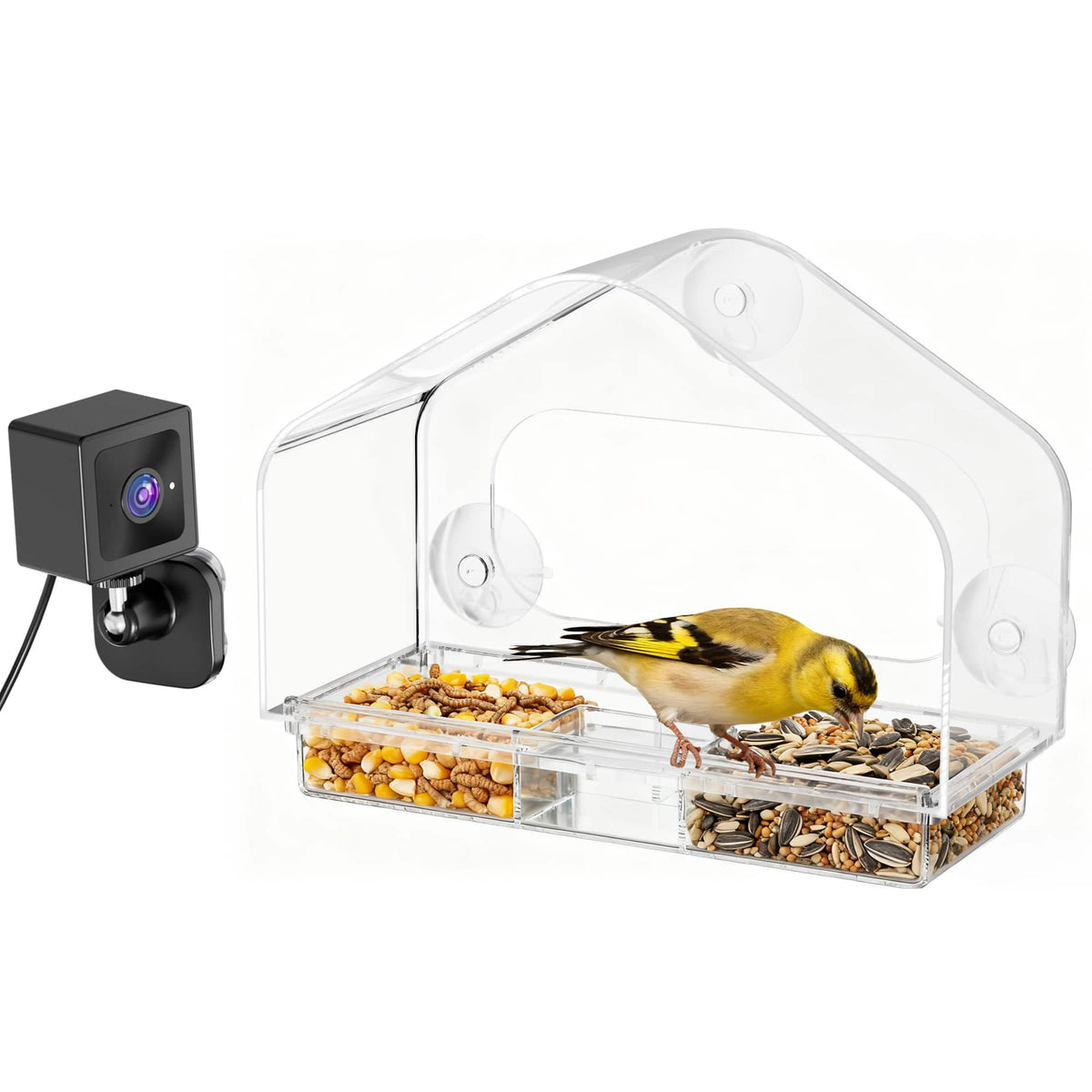 CoolFly - x Freeseason - 2K HD Smart Window Bird Feeder with Camera with AI ID and Suction Mount - House Shape