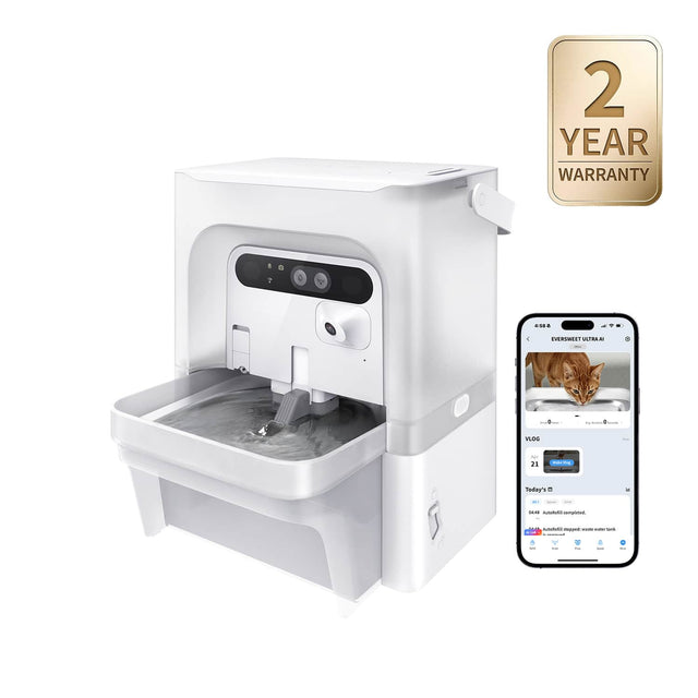2 YEAR WARRANTY

4:58a 1

EVERSWEET ULTRA A A

Ink

VLOG 21

Wake Ving

Today's a RI Appar

50k

04:41 AutoFill completed.

stoppedit - water DIG