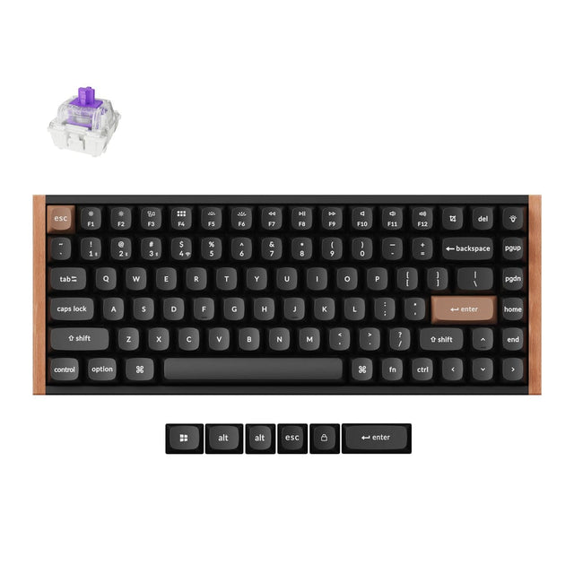 esc F1 F2 F3 F4 F5 F6 F7 F8 F9 F10 F11 F12 del backspace pgup tab Q W E R T Y U I O P pgdn caps lock A S D F G H J K L : ; enter home shift Z X C V B N M , . / shift control option fn ctrl alt esc enter