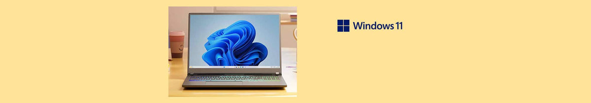 Windows 11