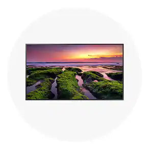 Commercial TVs
